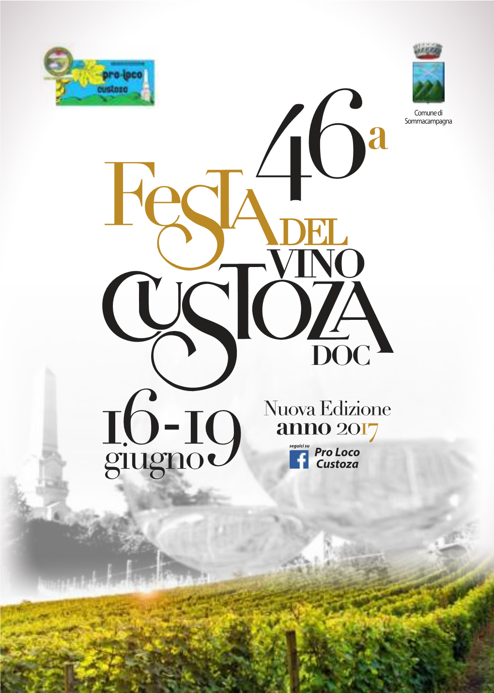 Giugno Custoza 46 VINO