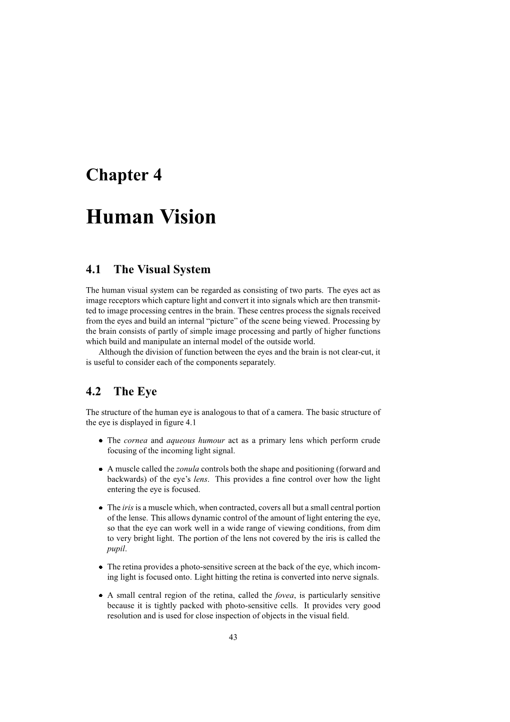 Human Vision