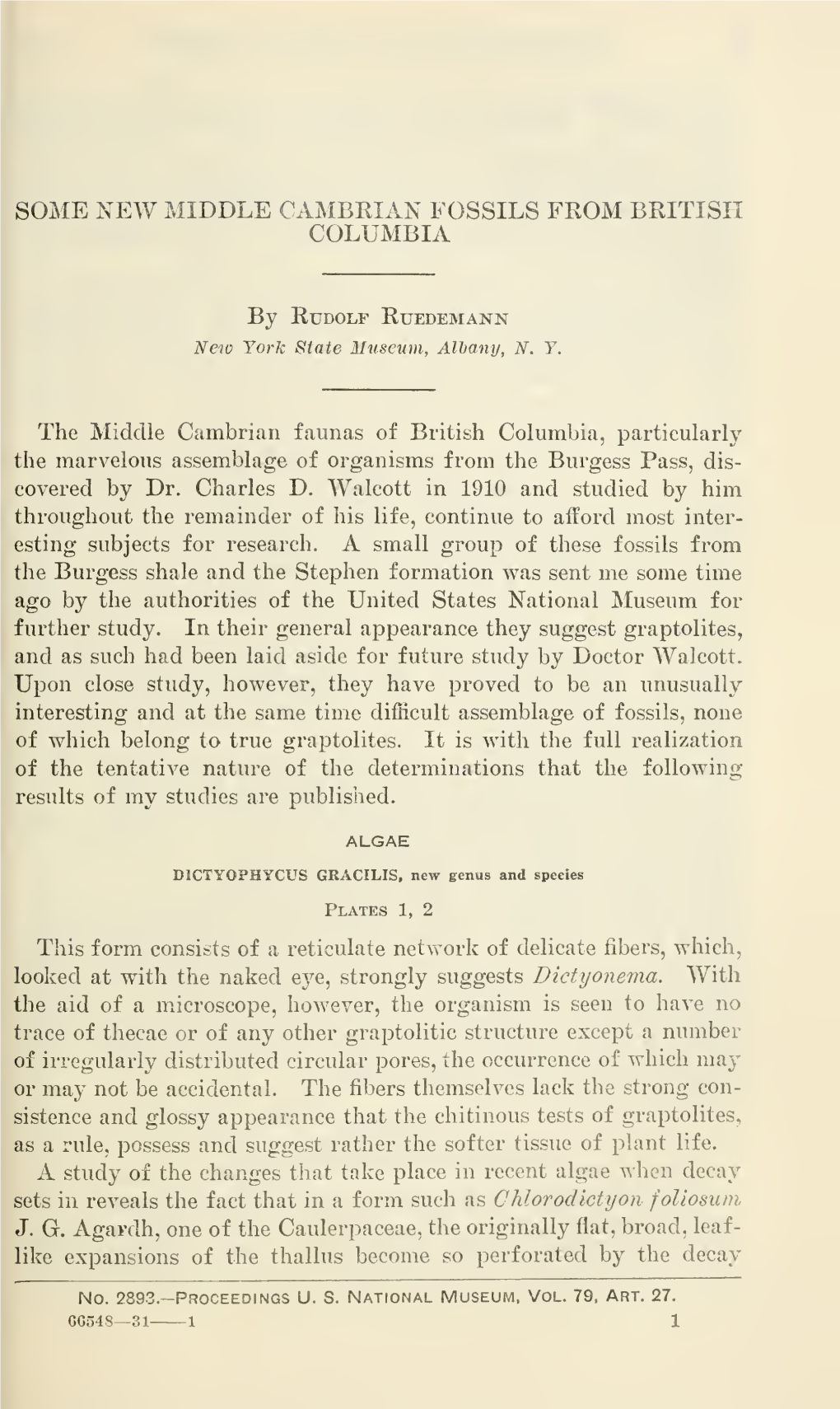 Proceedings of the United States National Museum