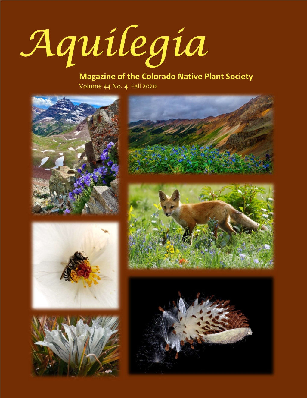 Magazine of the Colorado Native Plant Society Volume 44 No