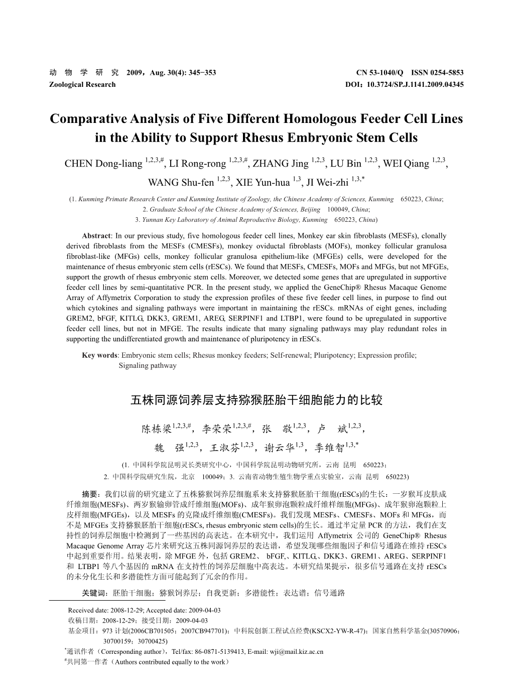 Comparative Analysis of Five Different Homologous Feeder Cell Lines in the Ability to Support Rhesus Embryonic Stem Cells