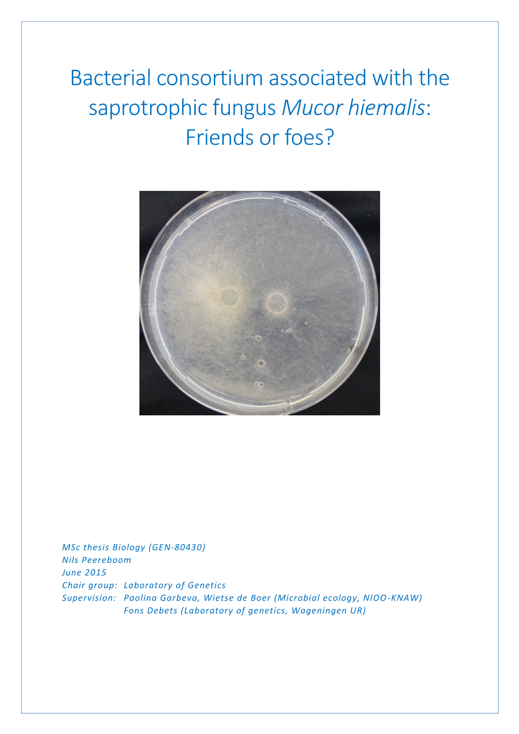 Bacterial Consortium Associated with the Saprotrophic Fungus Mucor Hiemalis: Friends Or Foes?