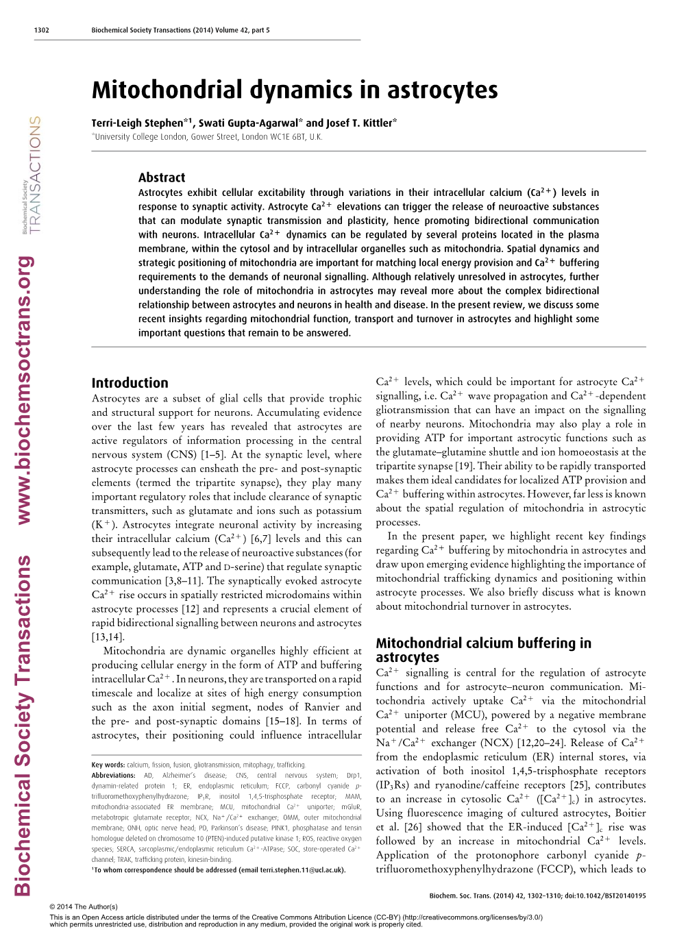 Mitochondrial Dynamics in Astrocytes