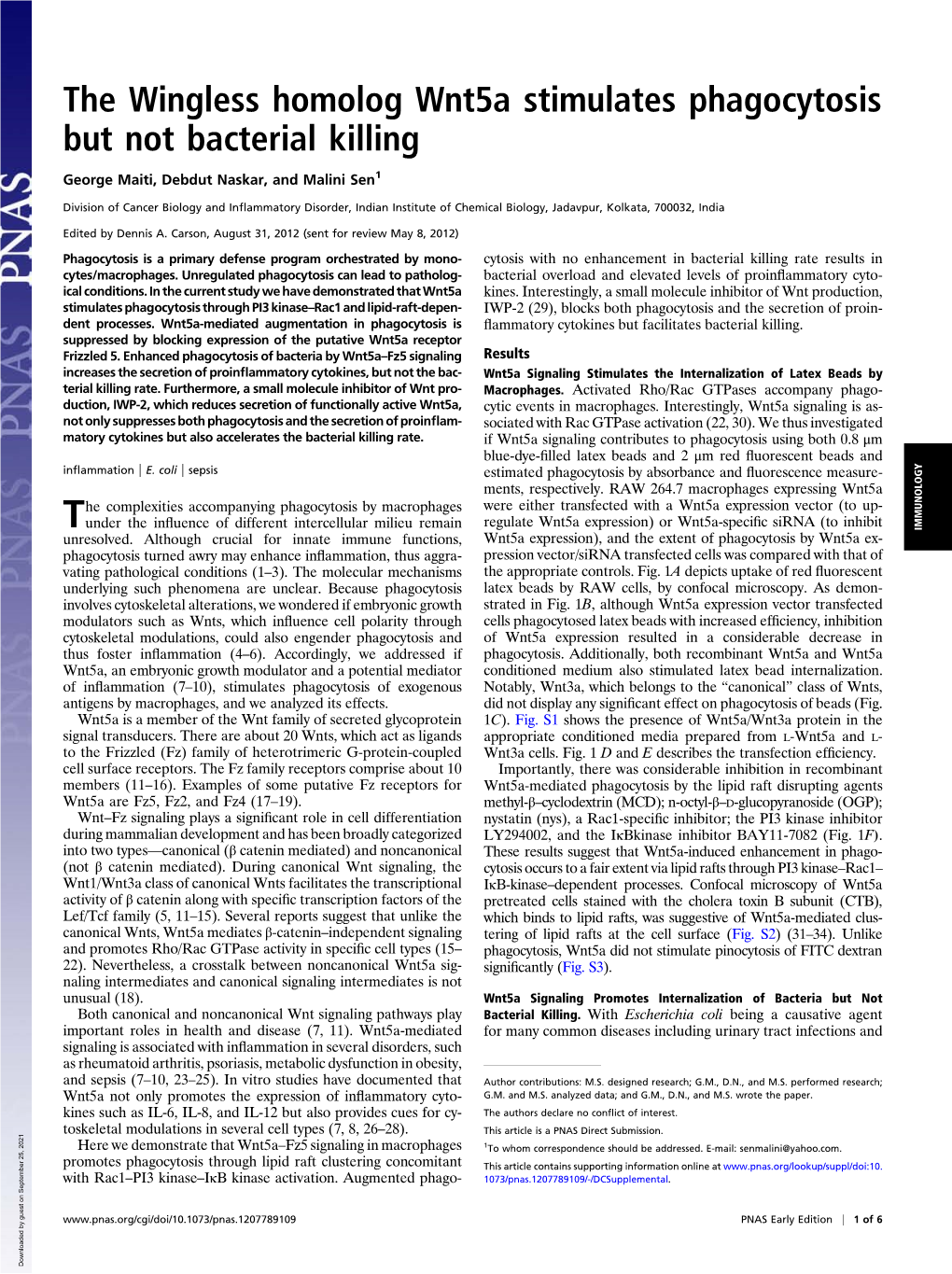 The Wingless Homolog Wnt5a Stimulates Phagocytosis but Not Bacterial Killing