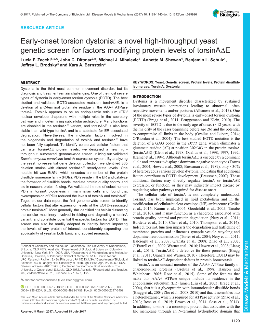 Early-Onset Torsion Dystonia: a Novel High-Throughput Yeast Genetic Screen for Factors Modifying Protein Levels of Torsinaδe Lucıá F