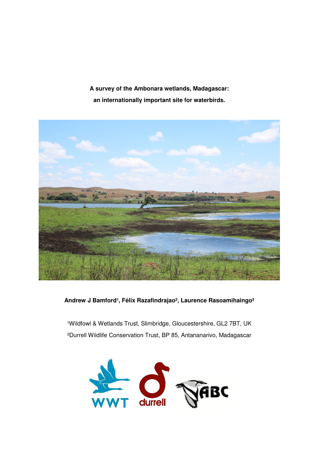 A Survey of the Ambonara Wetlands, Madagascar: an Internationally Important Site for Waterbirds