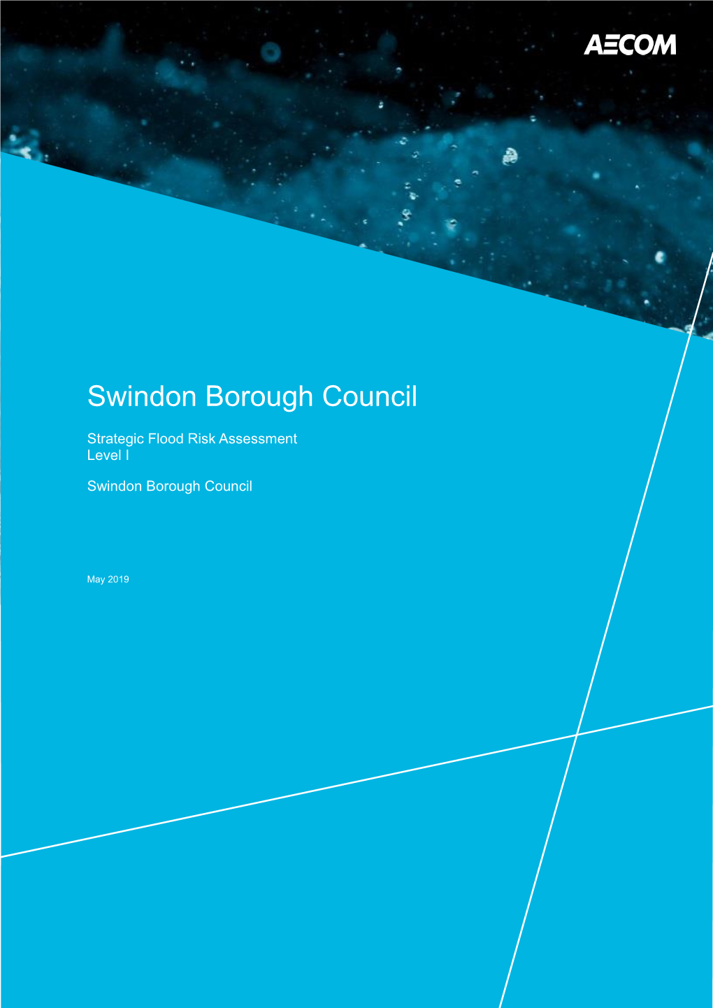 Swindon Borough Council SFRA Level 1