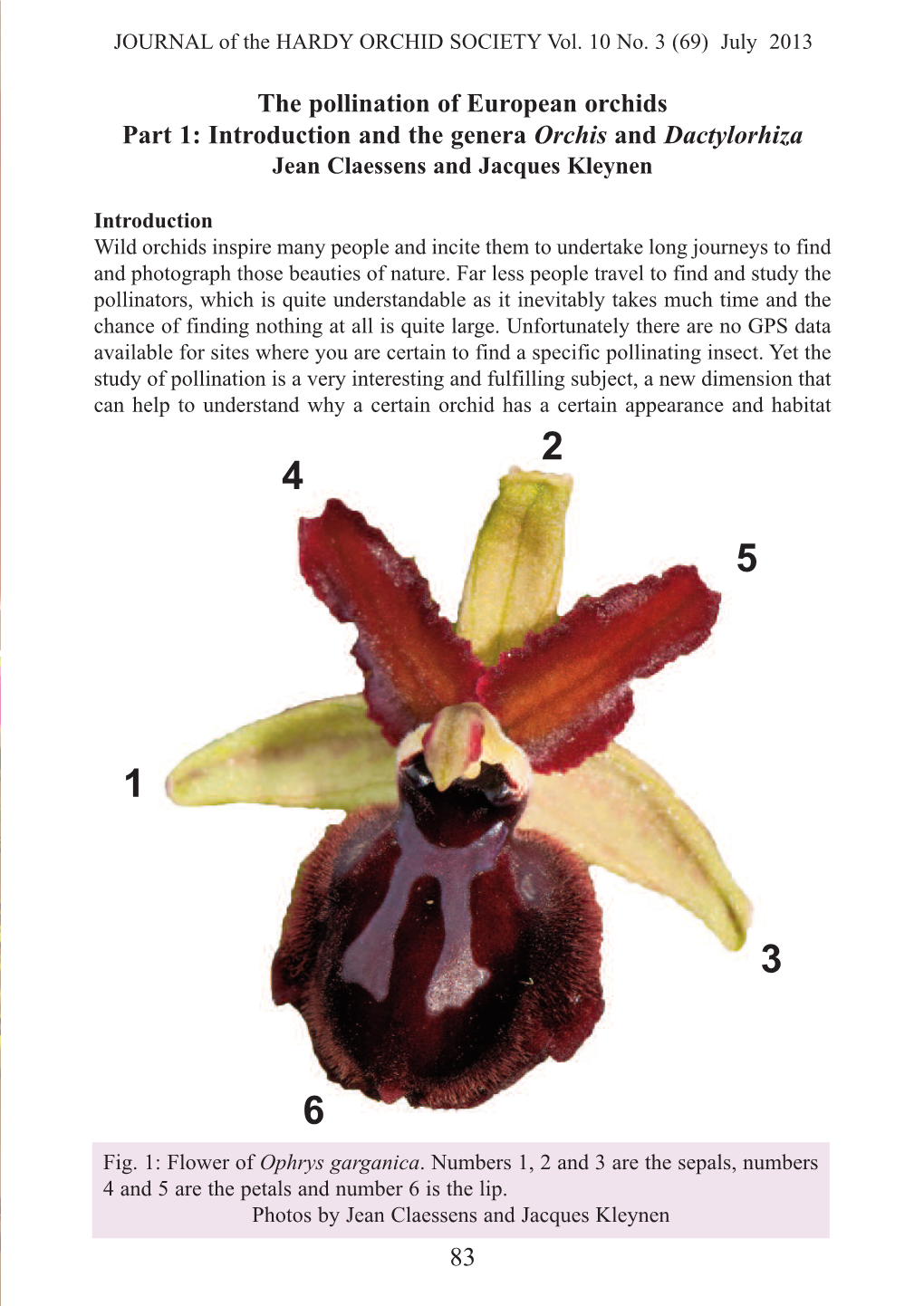 The Pollination of European Orchids Part 1: Introduction and the Genera Orchis and Dactylorhiza Jean Claessens and Jacques Kleynen