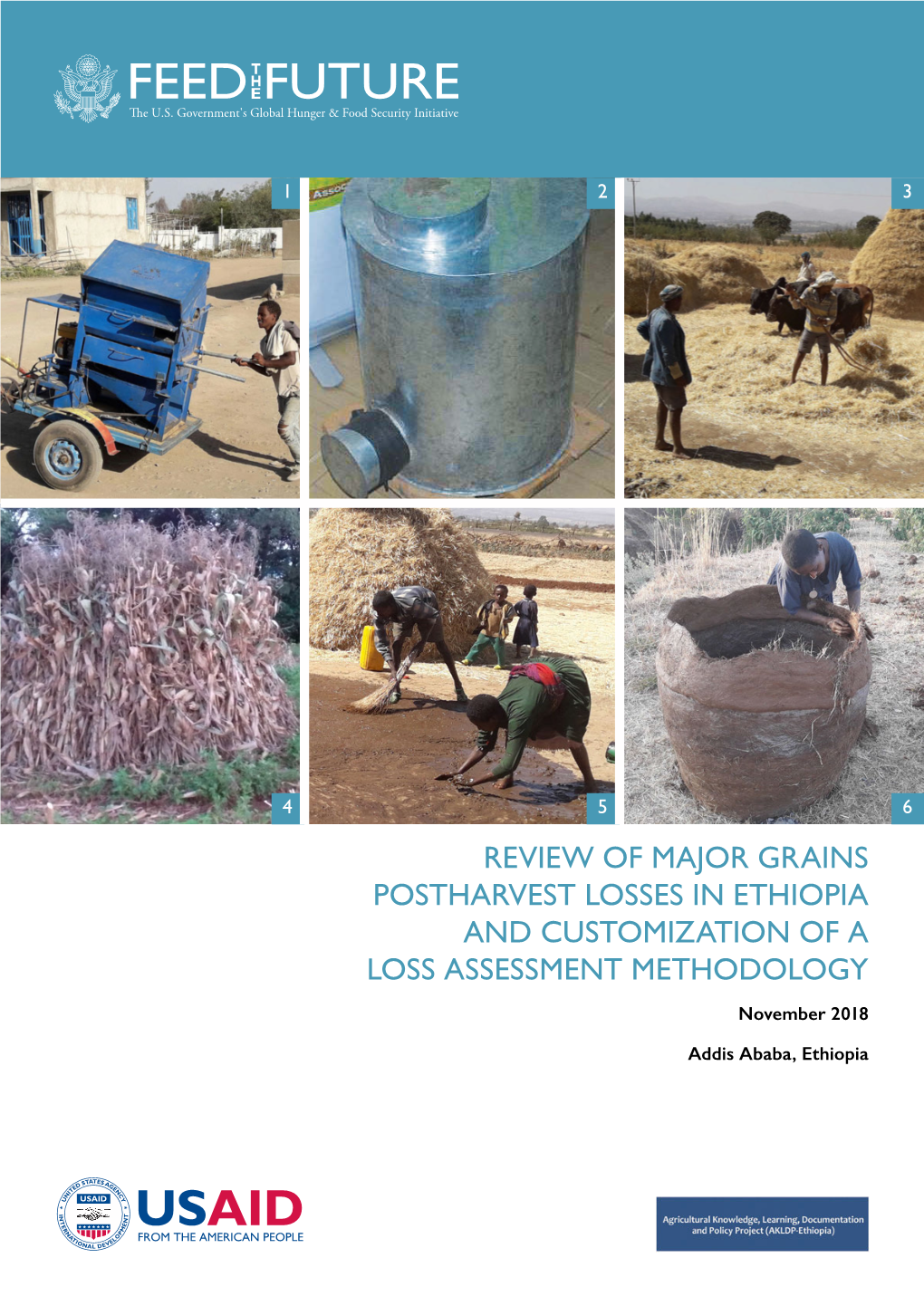 Review of Major Grains Postharvest Losses in Ethiopia and Customization of a Loss Assessment Methodology