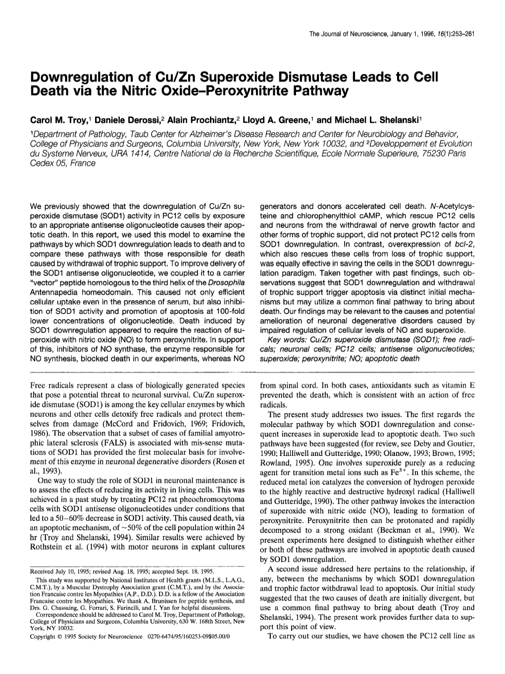 Downregulation of Cu/Zn Superoxide Dismutase Leads to Cell Death V& the Nitric Oxide-Peroxynitrite Pathway