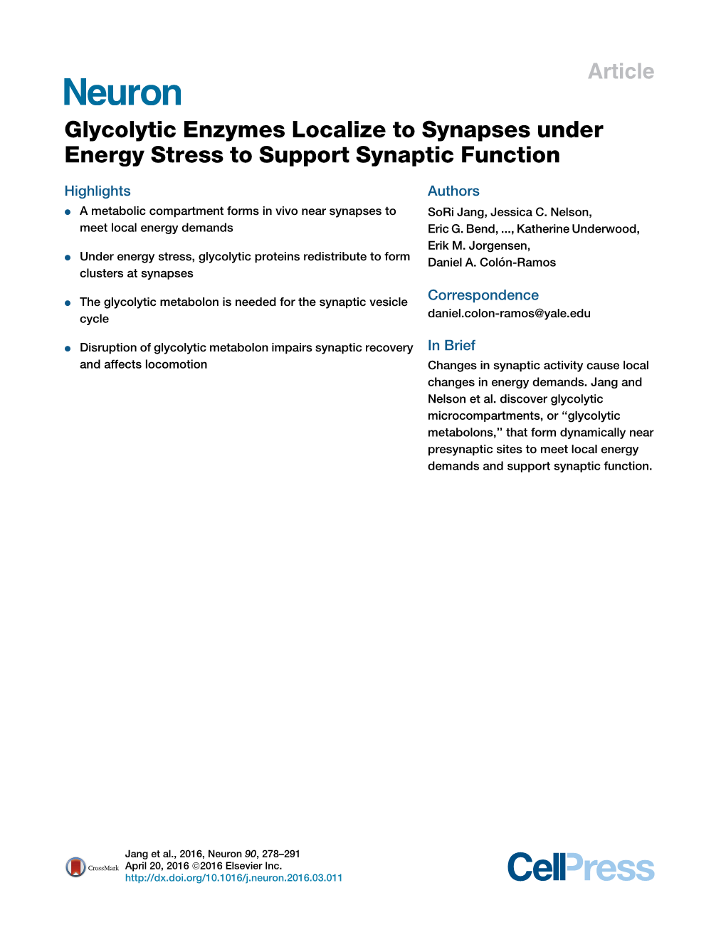 Glycolytic Enzymes Localize to Synapses Under Energy Stress to Support Synaptic Function