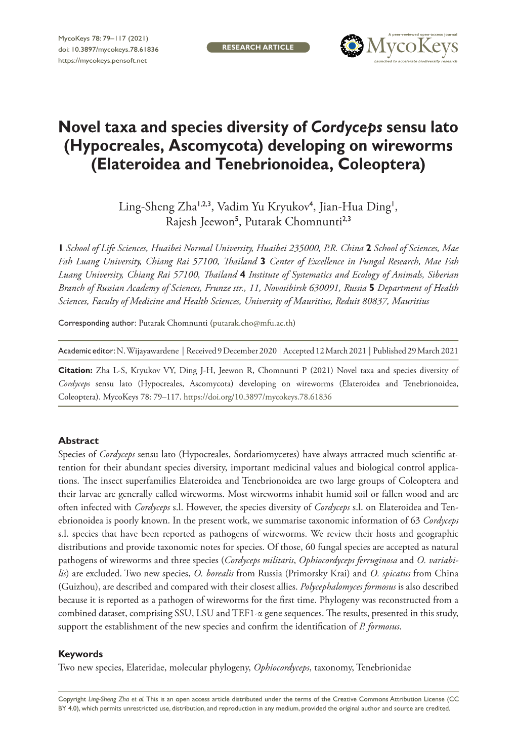 Novel Taxa and Species Diversity of Cordyceps Sensu Lato (Hypocreales, Ascomycota) Developing on Wireworms (Elateroidea and Tenebrionoidea, Coleoptera)