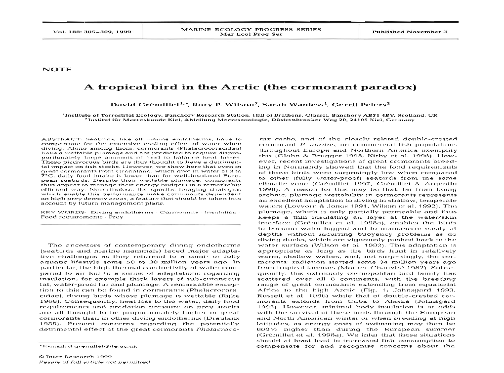 A Tropical Bird in the Arctic (The Cormorant Paradox)