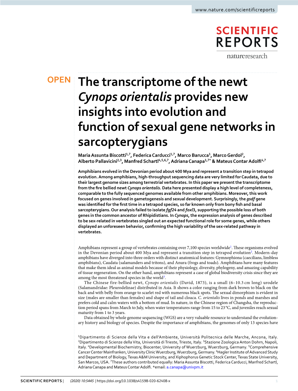 The Transcriptome of the Newt Cynops Orientalis Provides New Insights Into