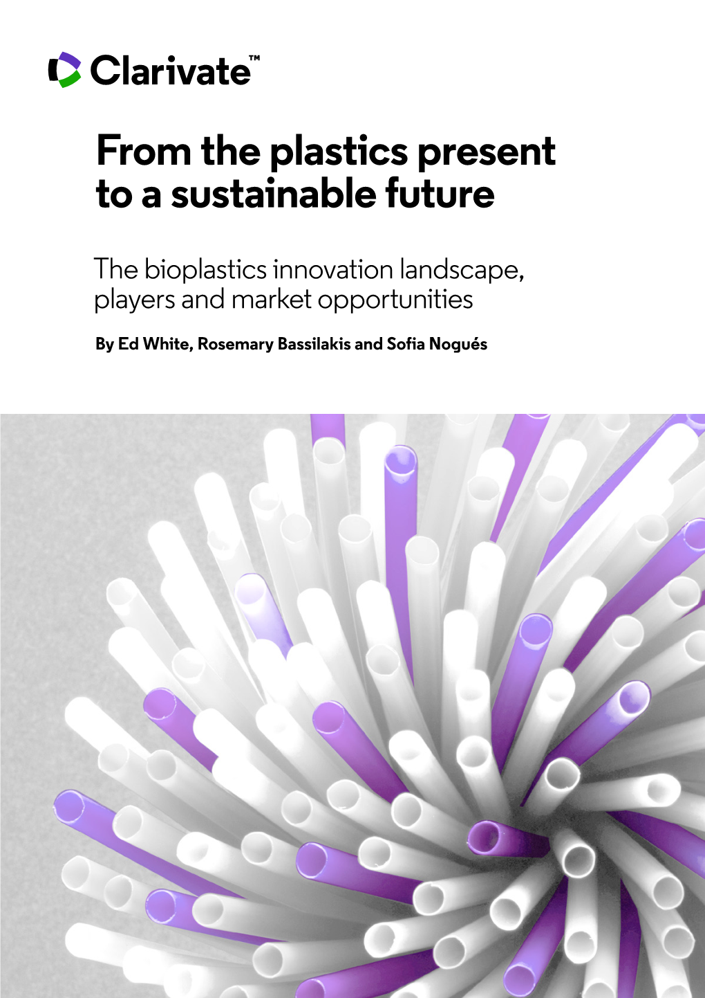 From the Plastics Present to a Sustainable Future