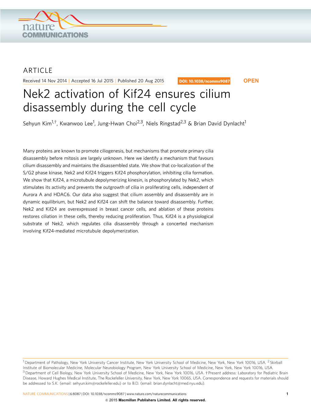 Nek2 Activation of Kif24 Ensures Cilium Disassembly During the Cell Cycle
