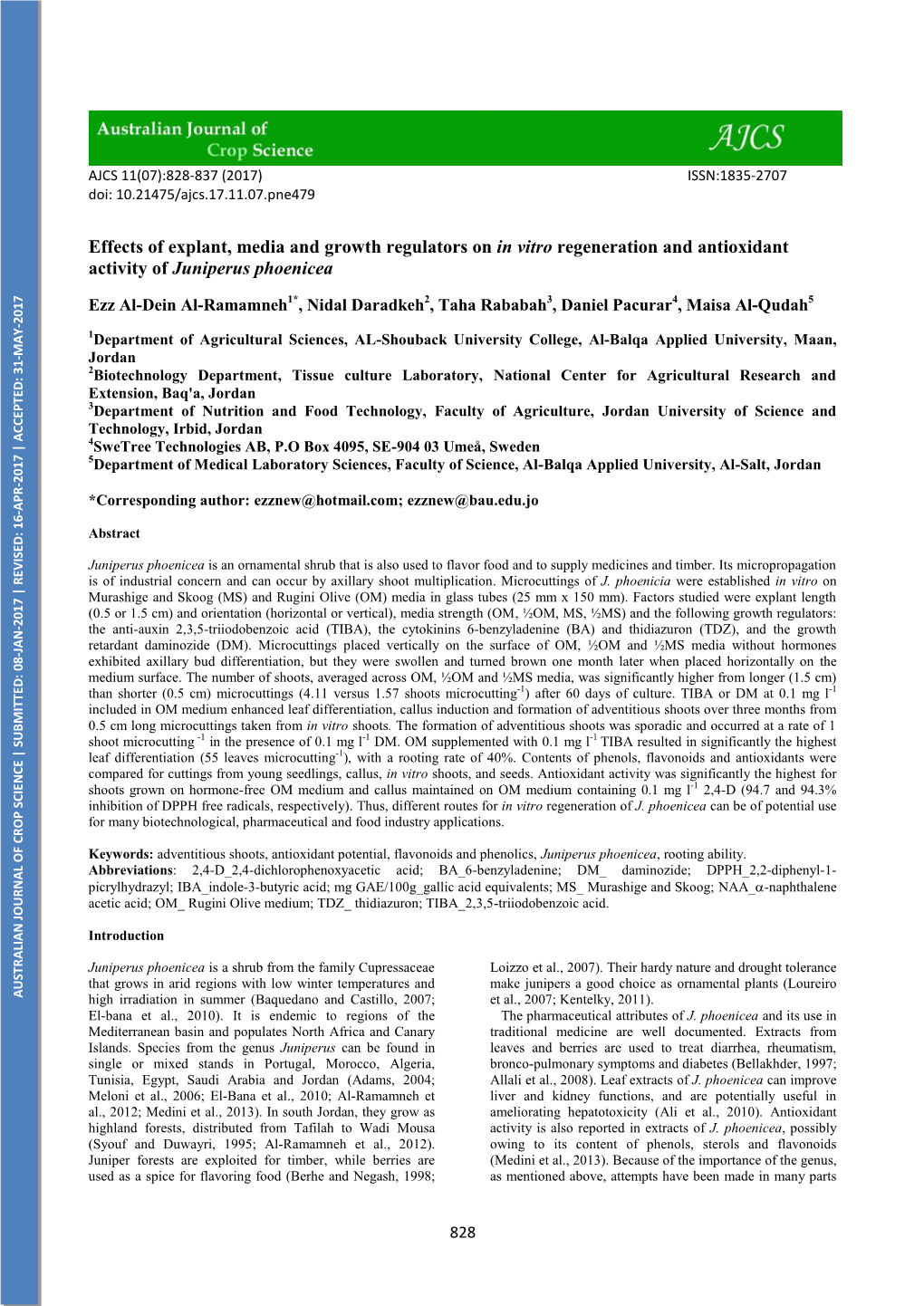 Effects of Explant, Media and Growth Regulators on in Vitro Regeneration and Antioxidant Activity of Juniperus Phoenicea