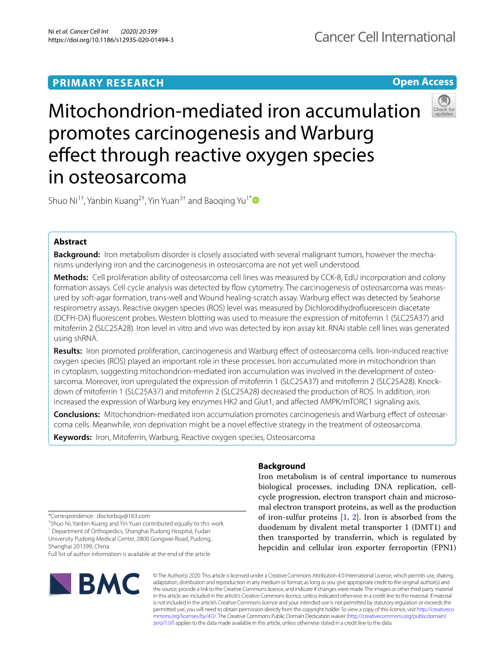 Mitochondrion-Mediated Iron Accumulation Promotes Carcinogenesis and Warburg Efect of Osteosar- Coma Cells