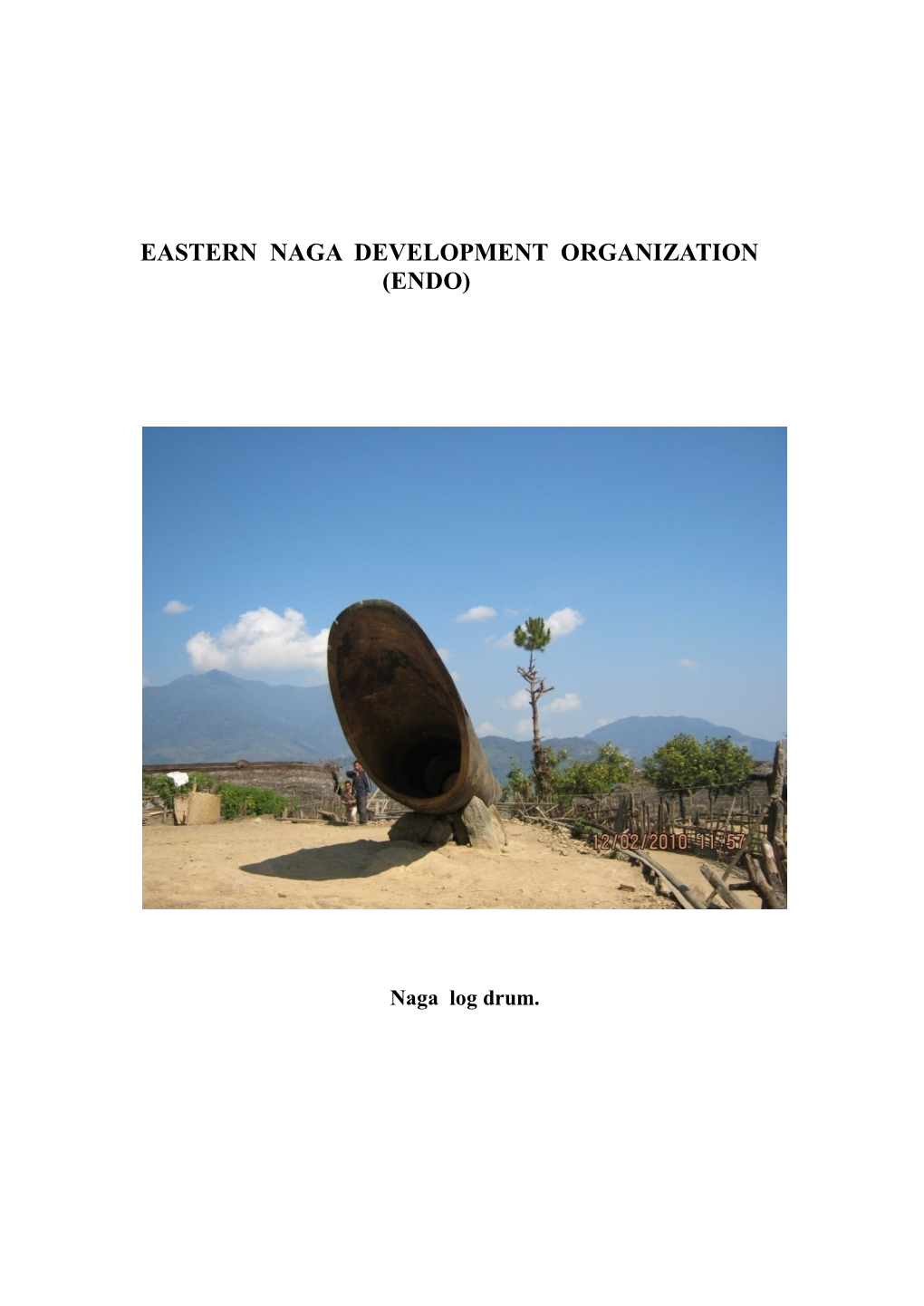 Eastern Naga Development Organization (Endo)