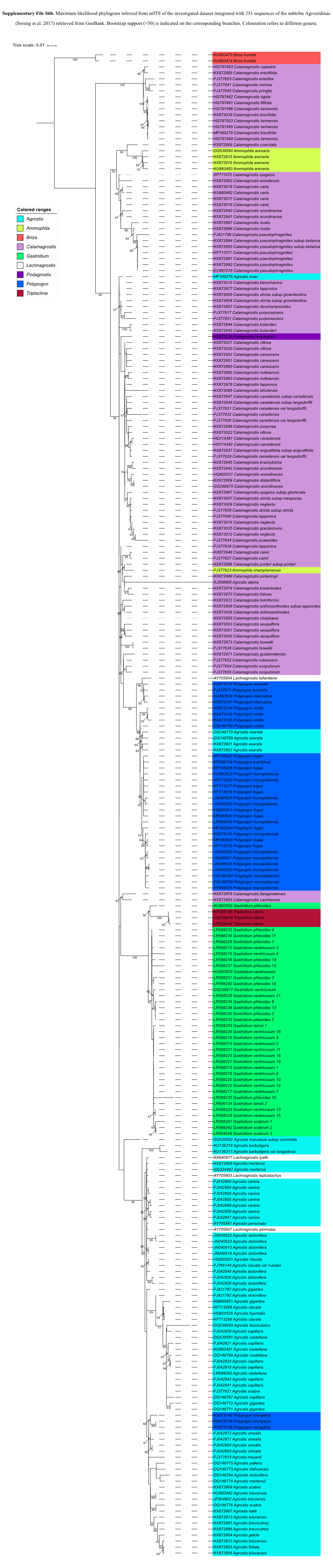 Supplementary File S6b. Maximum Likelihood Phylogram Inferred from Nrits of the Investigated Dataset Integrated with 251 Sequences of the Subtribe Agrostidinae