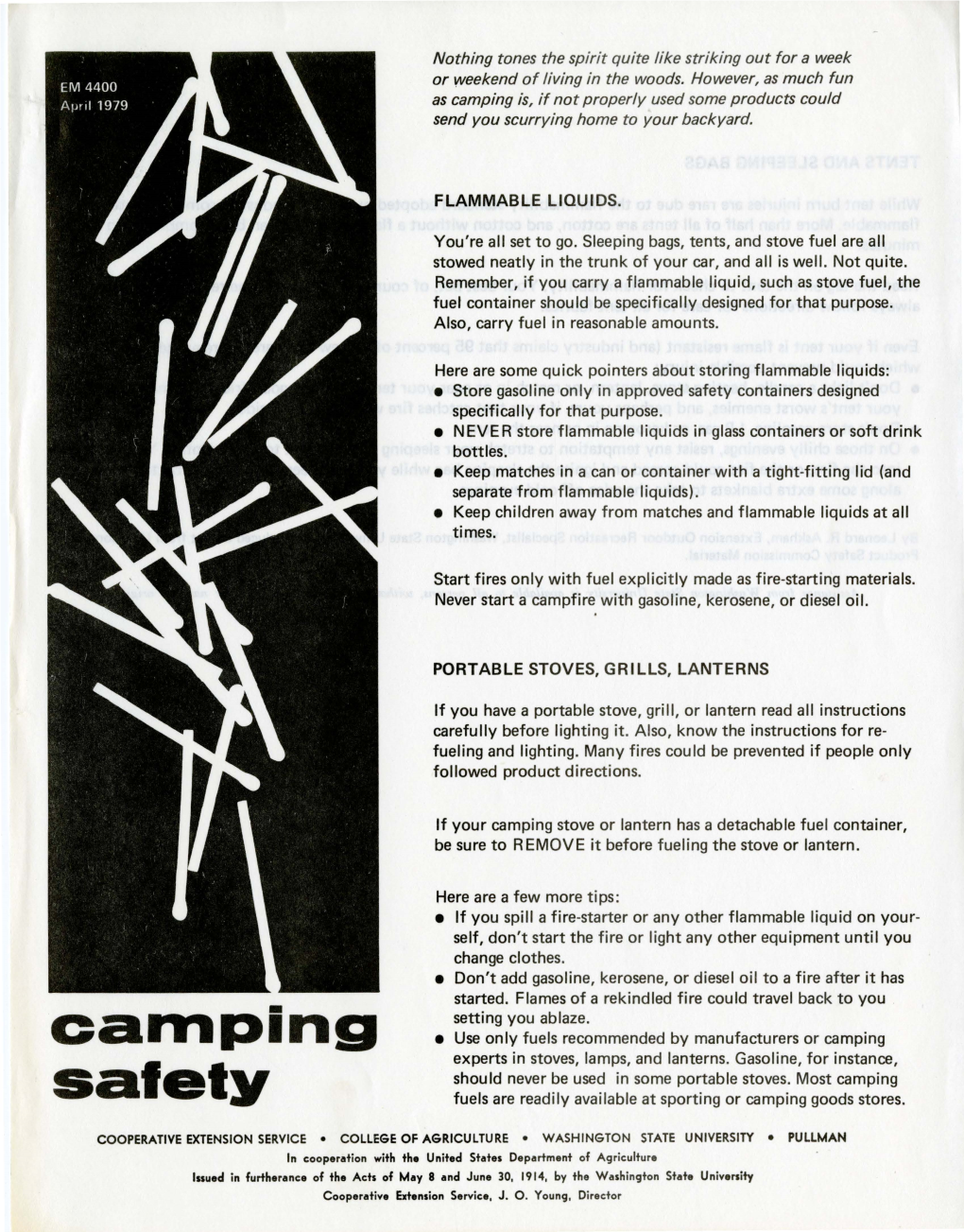 Camping Safety Fuels Are Readily Available at Sporting Or Camping Goods Stores