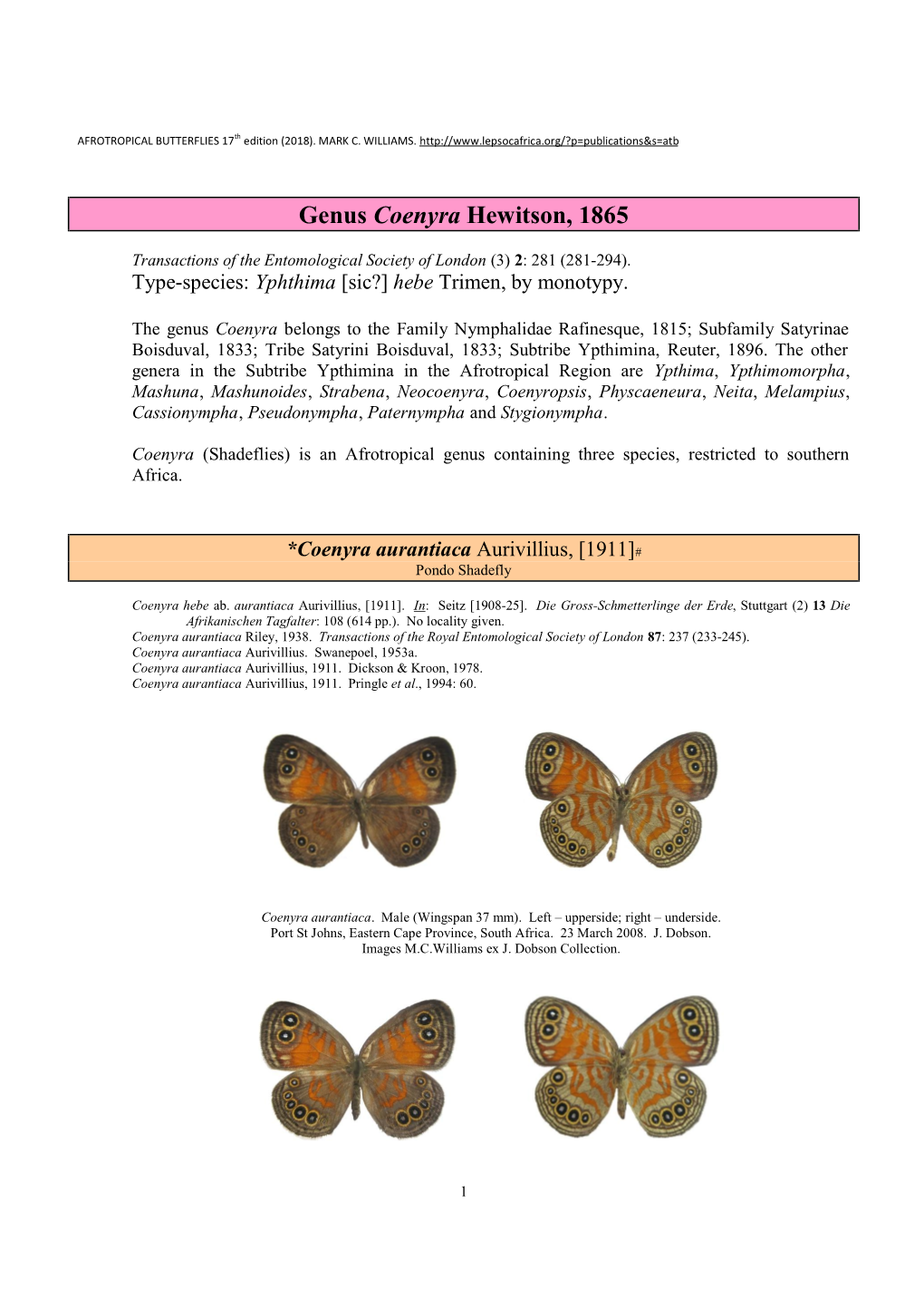 155 Genus Coenyra Hewitson