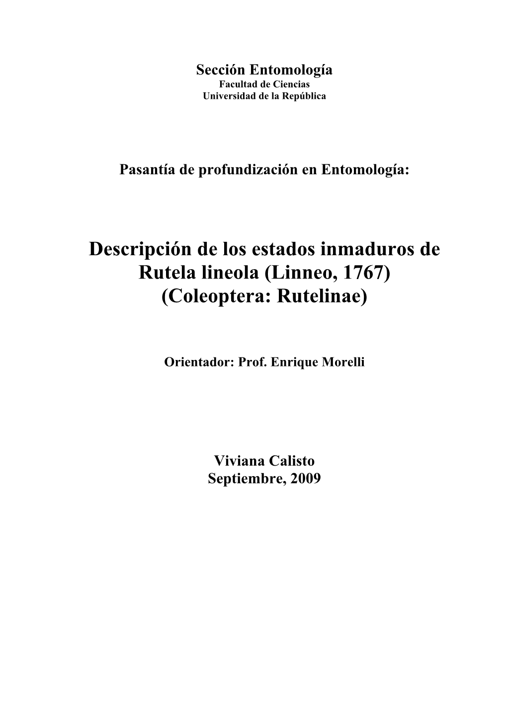 Descripción De Los Estados Inmaduros De Rutela Lineola (Linneo, 1767) (Coleoptera: Rutelinae)