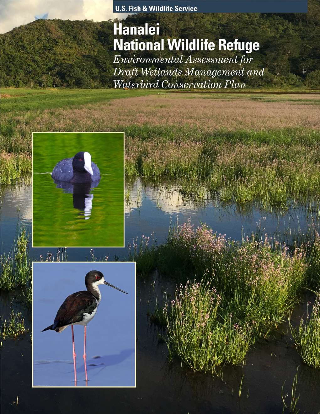 Hanalei National Wildlife Refuge Environmental Assessment for Draft Wetland Management Plan