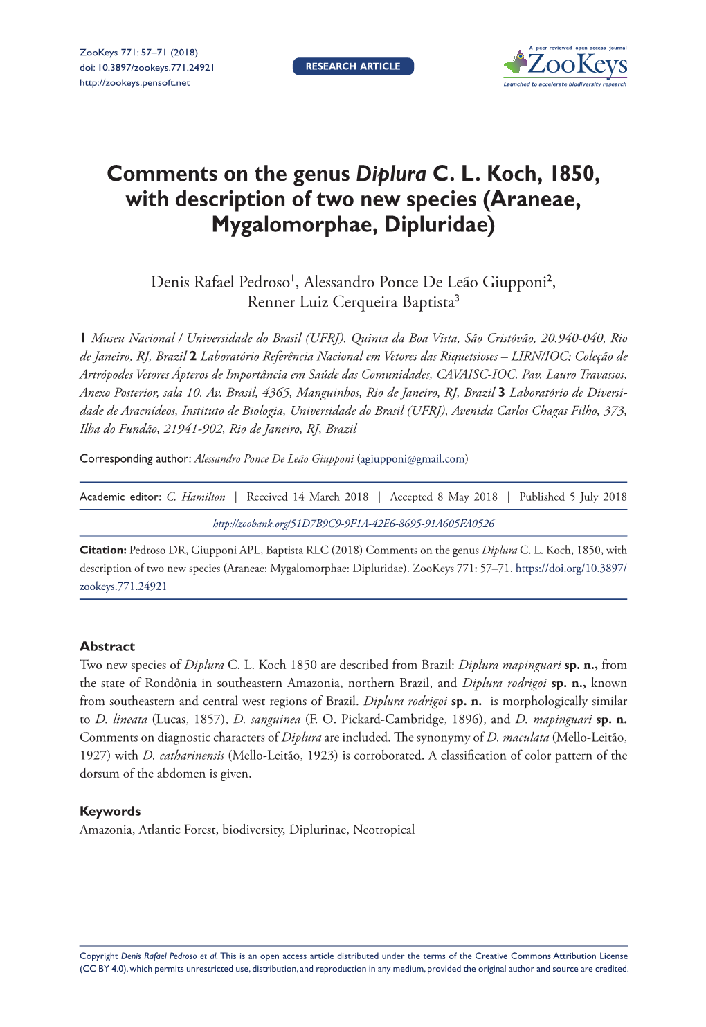 Comments on the Genus Diplura C. L. Koch, 1850, with Description of Two New Species (Araneae, Mygalomorphae, Dipluridae)