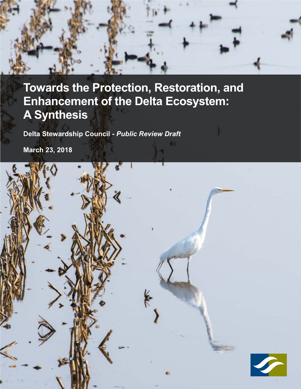 Towards the Protection, Restoration, and Enhancement of the Delta Ecosystem: a Synthesis
