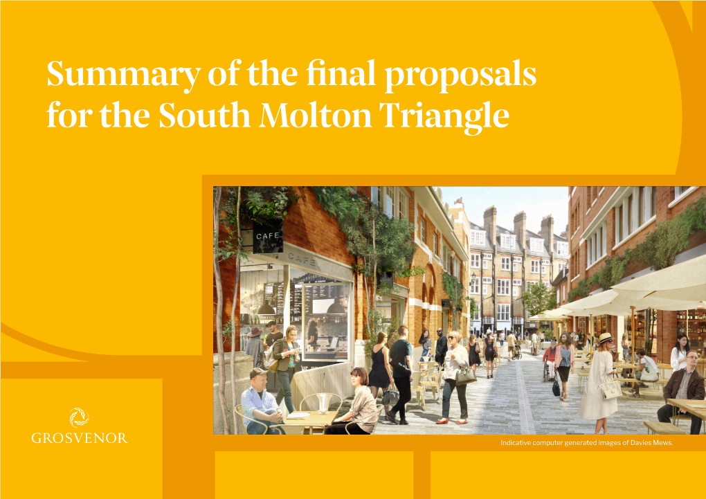 Summary of the Final Proposals for the South Molton Triangle