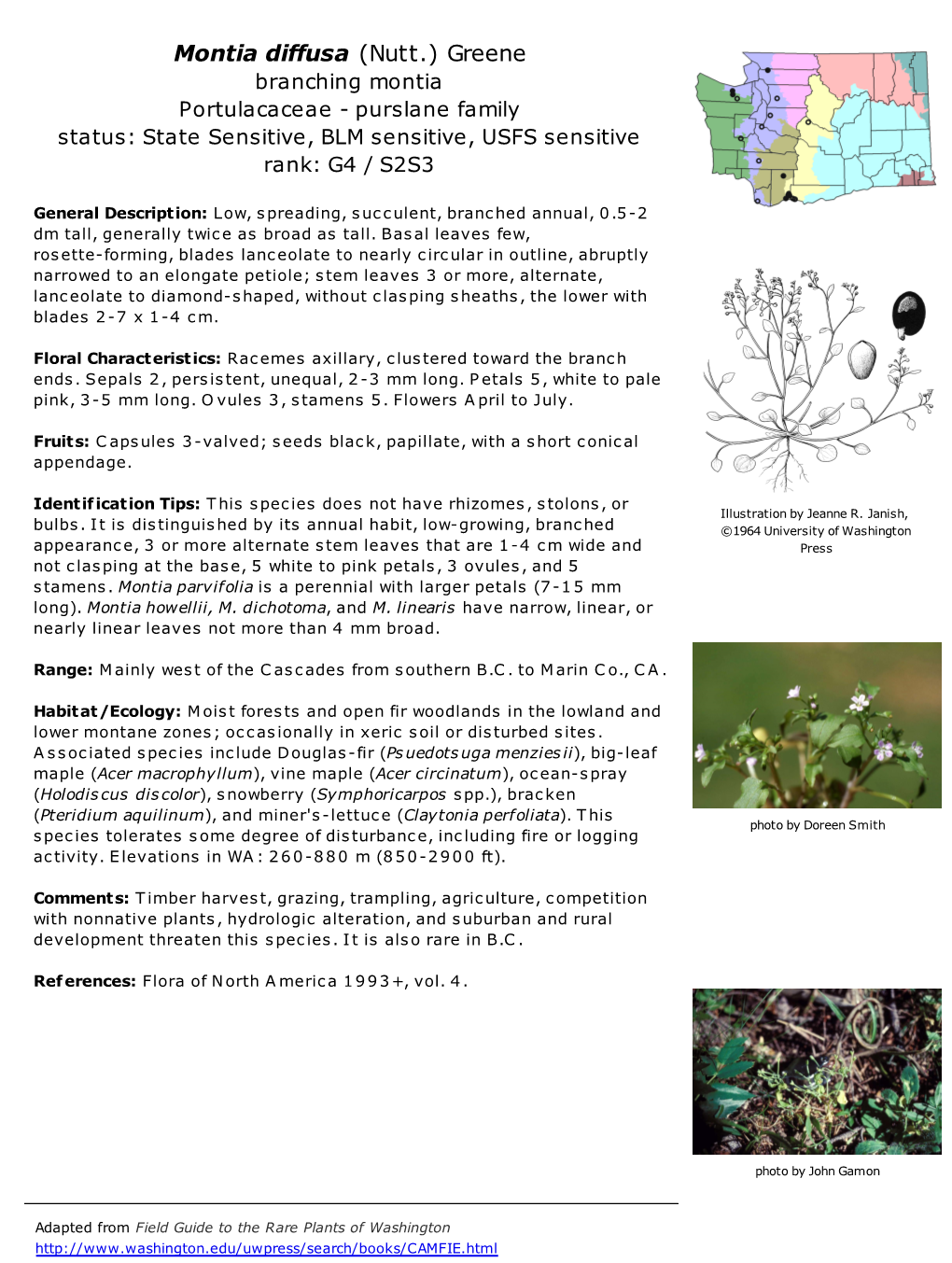 Montia Diffusa (Nutt.) Greene Branching Montia Portulacaceae - Purslane Family Status: State Sensitive, BLM Sensitive, USFS Sensitive Rank: G4 / S2S3