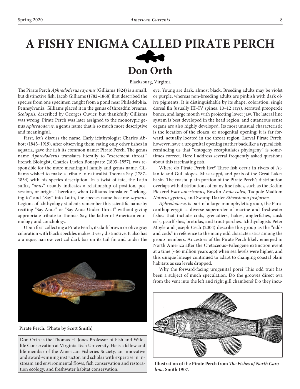 A Fishy Enigma Called Pirate Perch Don Orth