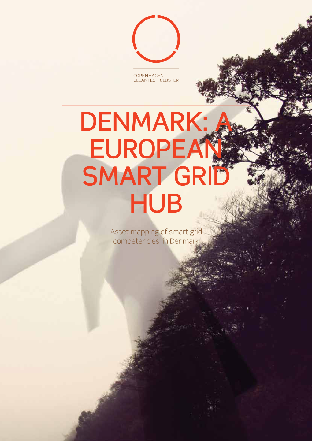 Denmark: a European Smart Grid Hub