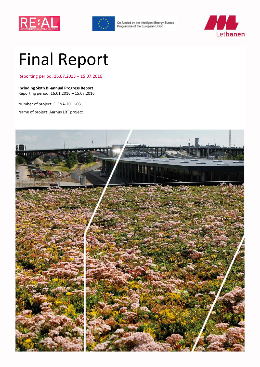 Final Report