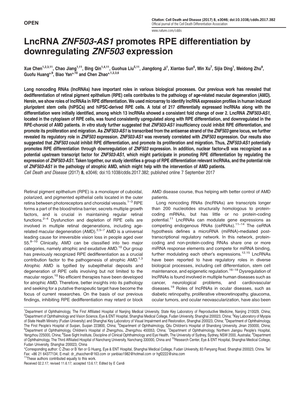 Lncrna ZNF503-AS1 Promotes RPE Differentiation by Downregulating ZNF503 Expression