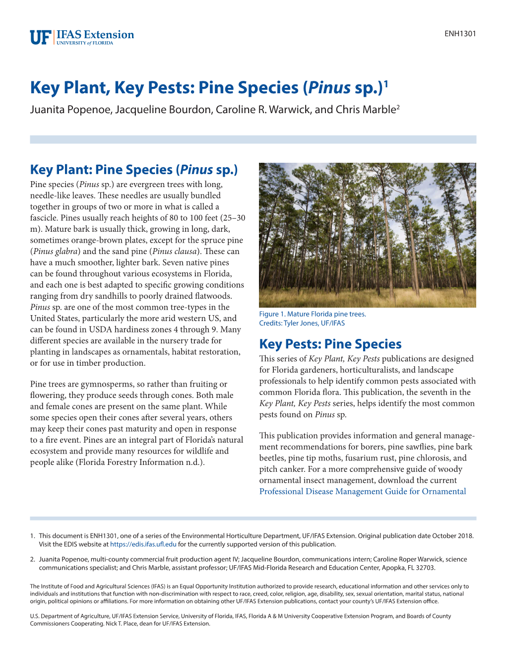 Pine Species (Pinus Sp.)1 Juanita Popenoe, Jacqueline Bourdon, Caroline R