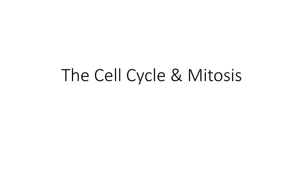 The Cell Cycle & Mitosis