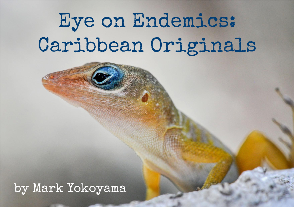Caribbean Originals