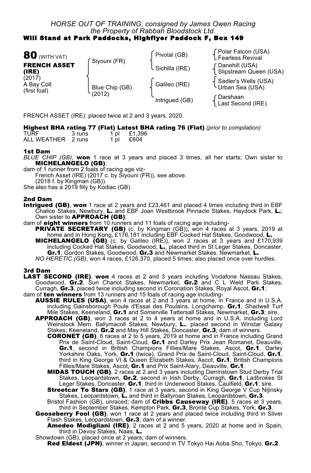 HORSE out of TRAINING, Consigned by James Owen Racing the Property of Rabbah Bloodstock Ltd