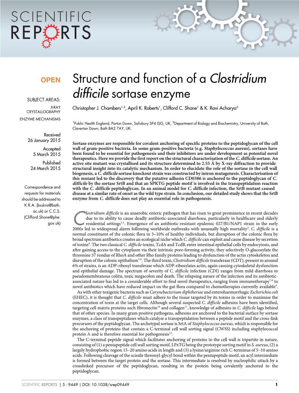Structure and Function of a Clostridium Difficile Sortase Enzyme