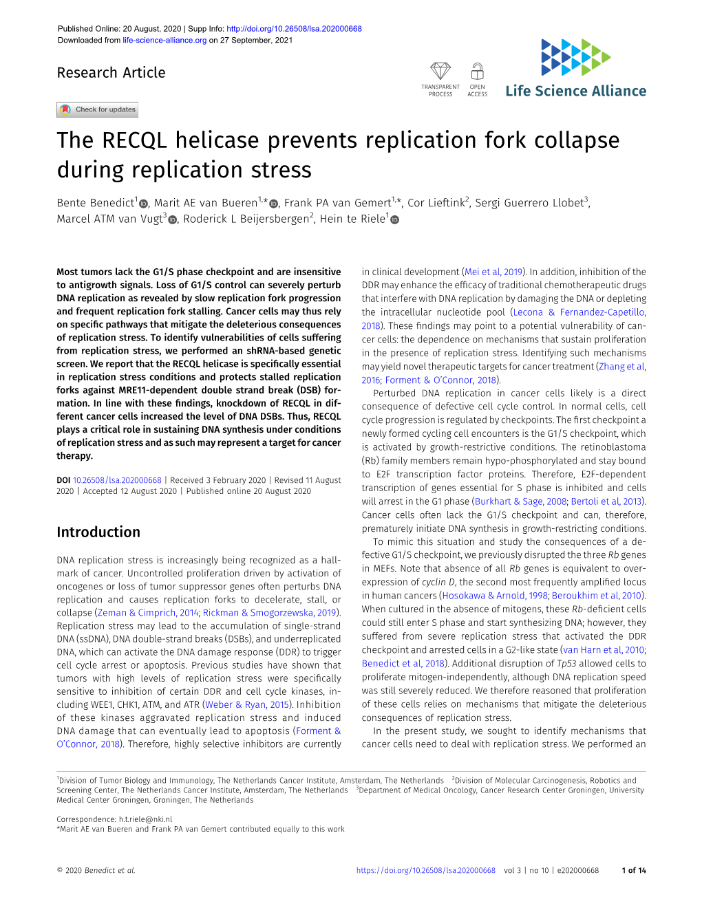 The RECQL Helicase Prevents Replication Fork Collapse During Replication Stress