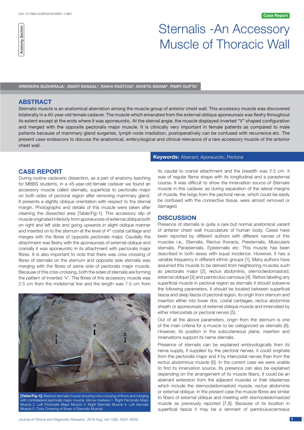 Sternalis -An Accessory Muscle of Thoracic Wall Anatomy Section