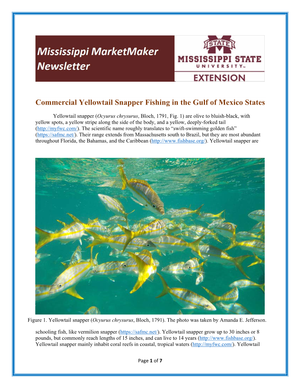 Commercial Yellowtail Snapper Fishing in the Gulf of Mexico States
