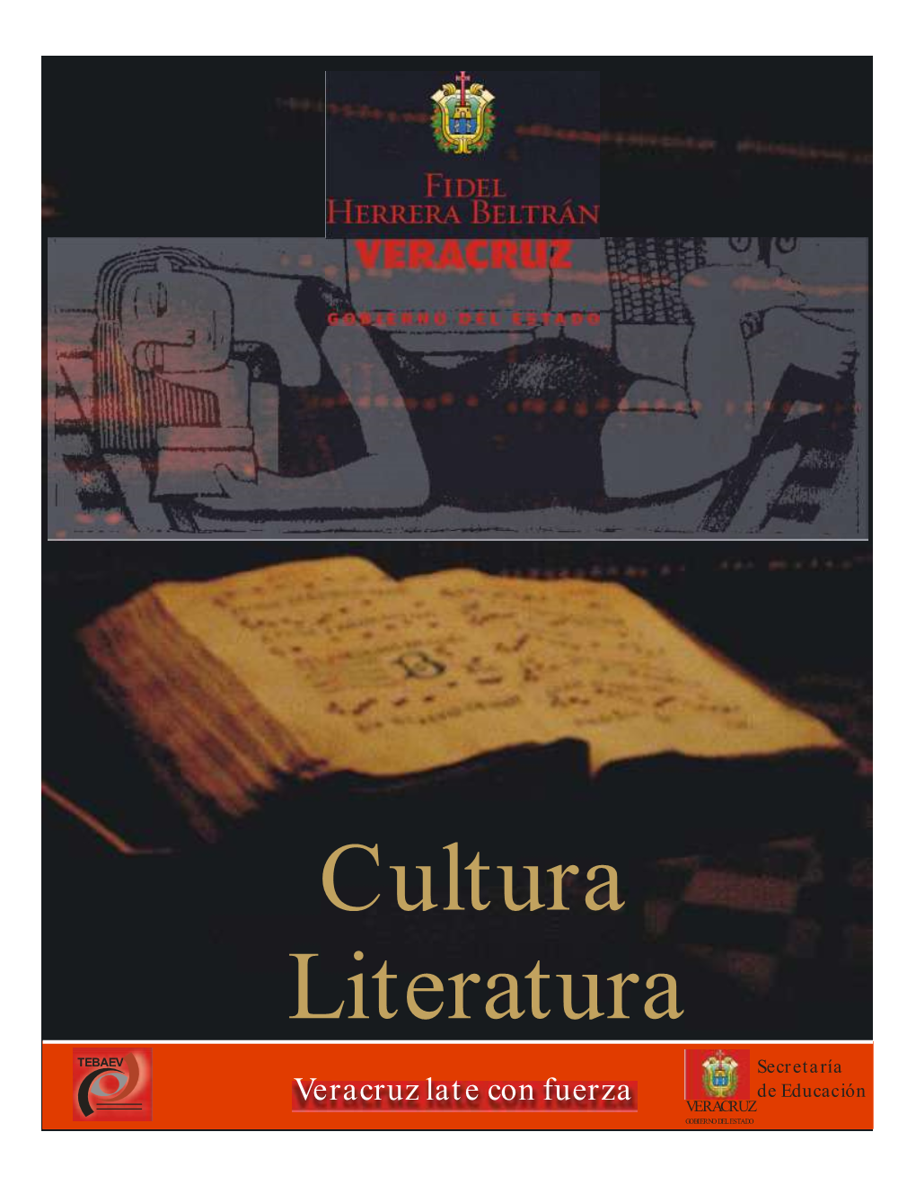 Literatura Cultura