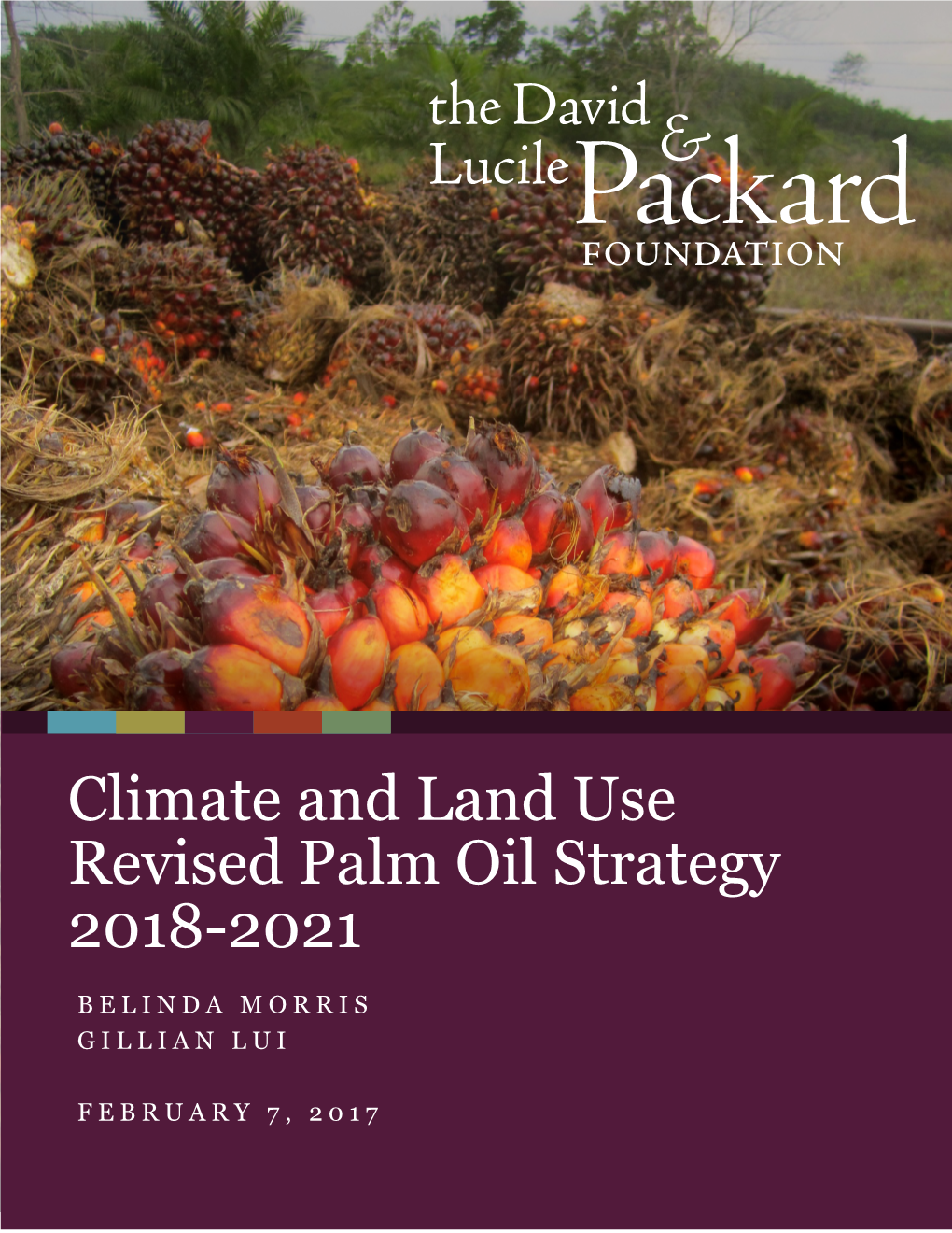 Palm Oil Strategy 2018-2021