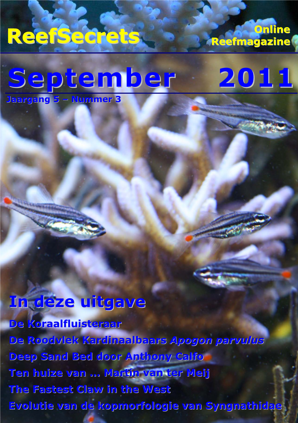 September 2011 in Deze Uitgave Foto Cover: Patrick Scholberg: Apogon Parvulus