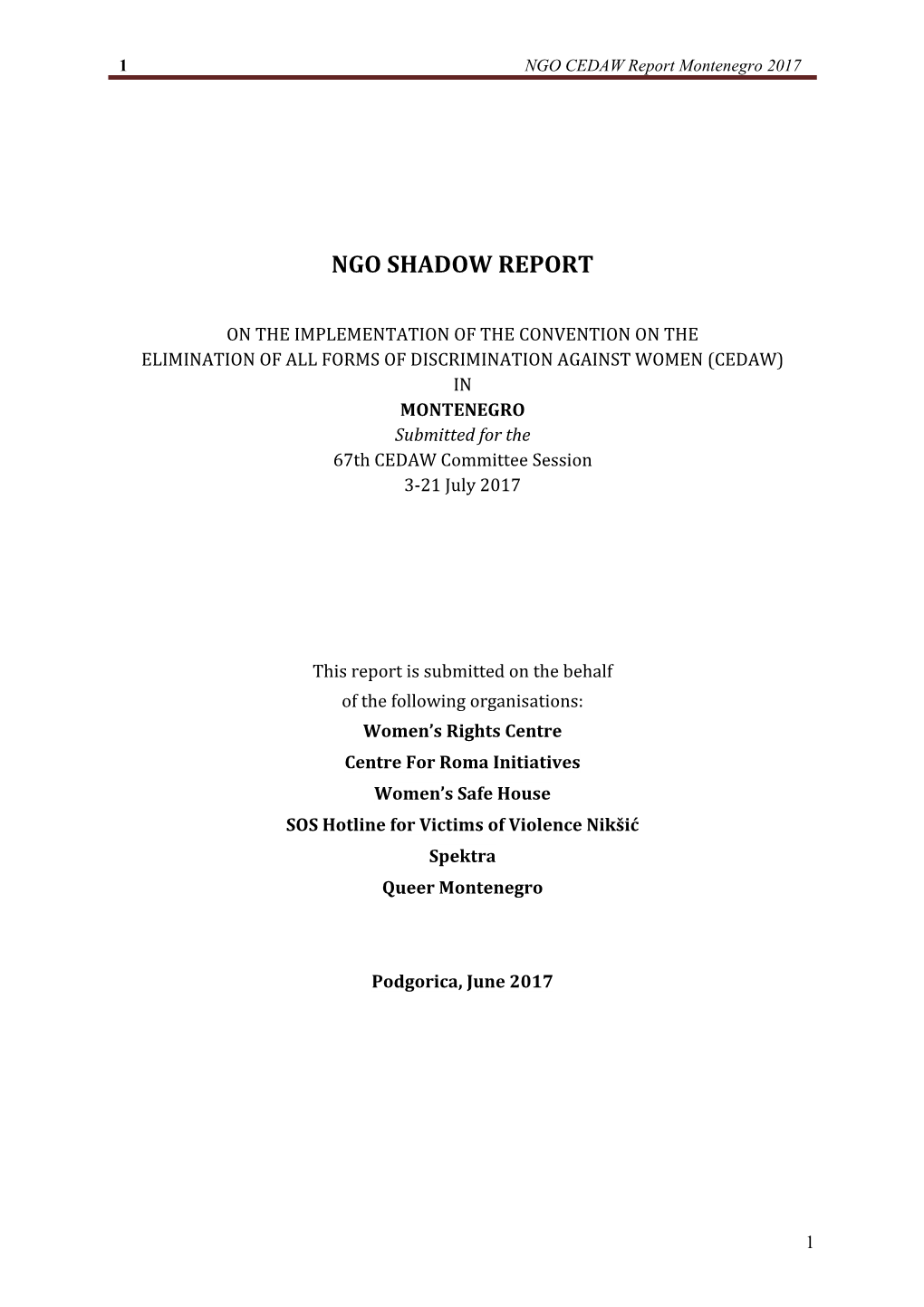 Ngo Shadow Report