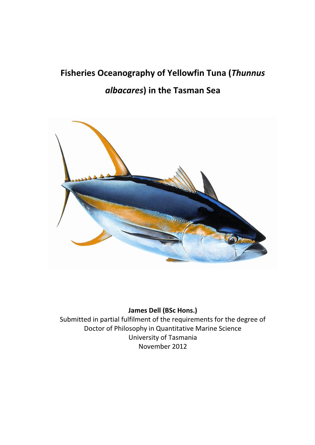 Fisheries Oceanography of Yellowfin Tuna (Thunnus Albacares) in the Tasman Sea