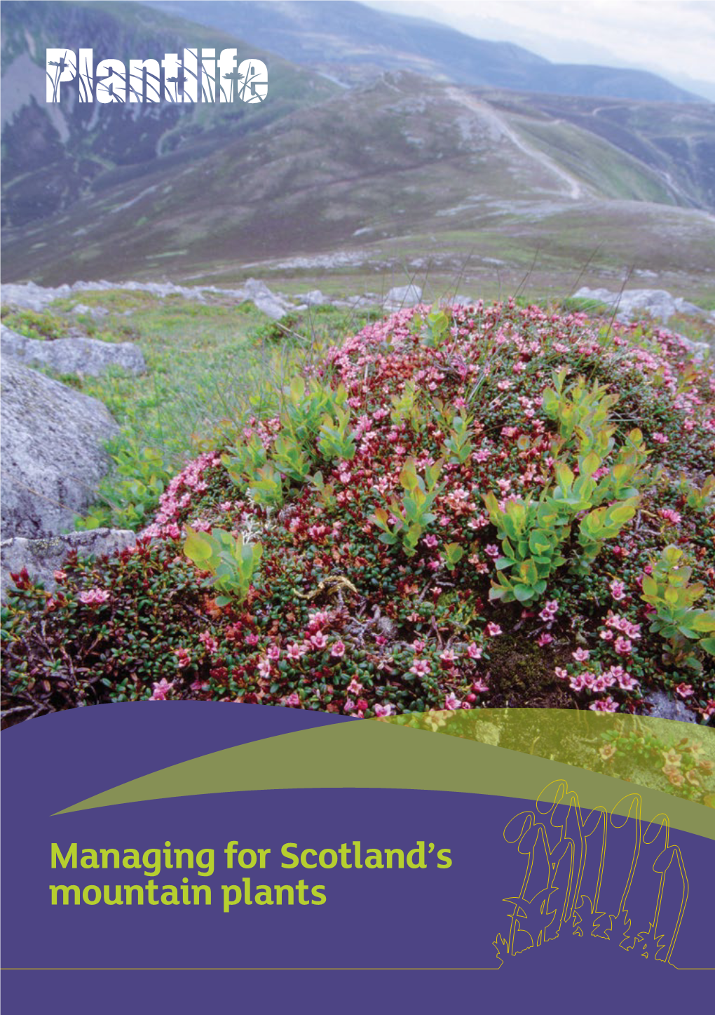 Managing for Scotland's Mountain Plants